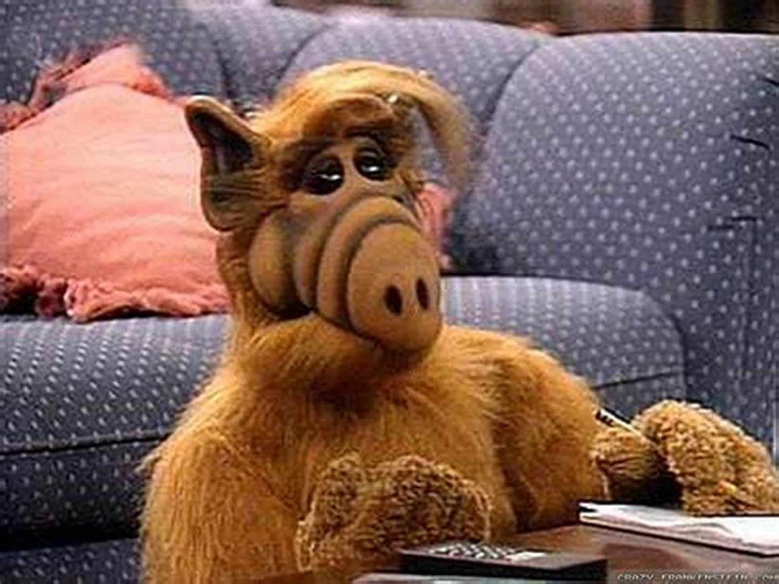 ALF TV Series 1986 1990 TV Yesteryear
