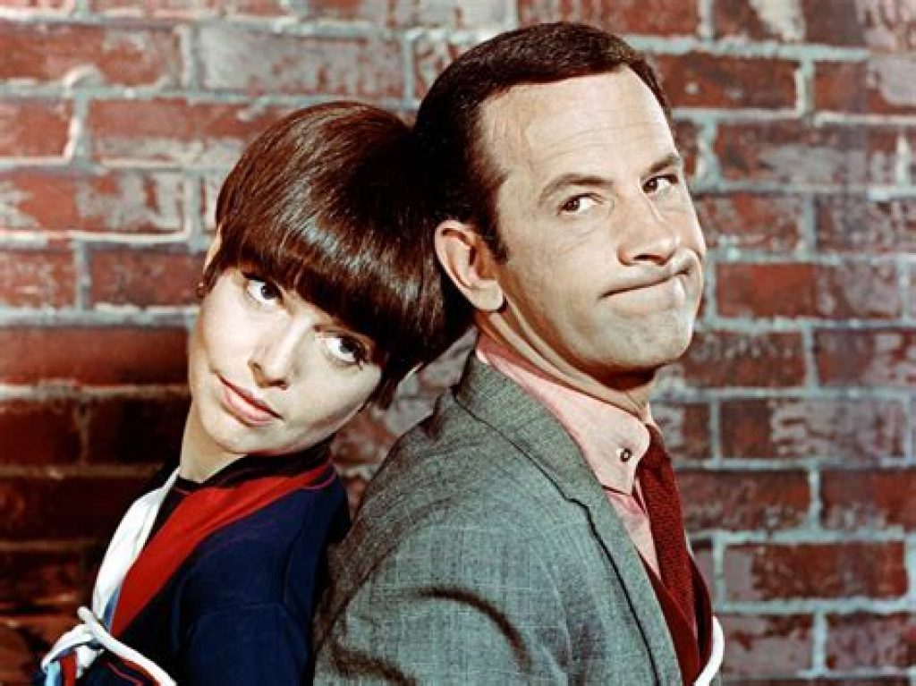 Get Smart TV Show